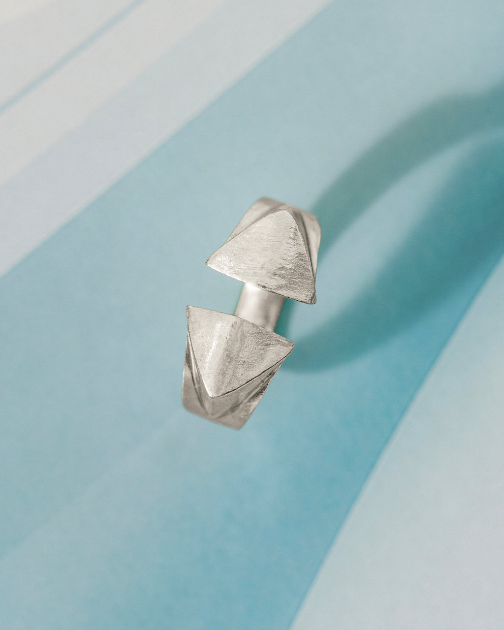 2 BEAKS RING