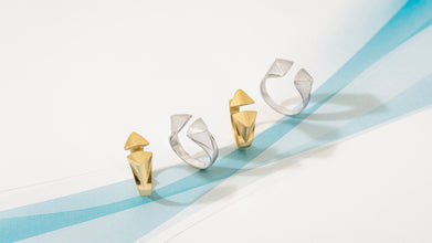 2 BEAKS RING