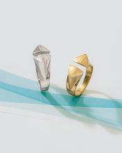 2 BEAKS RING