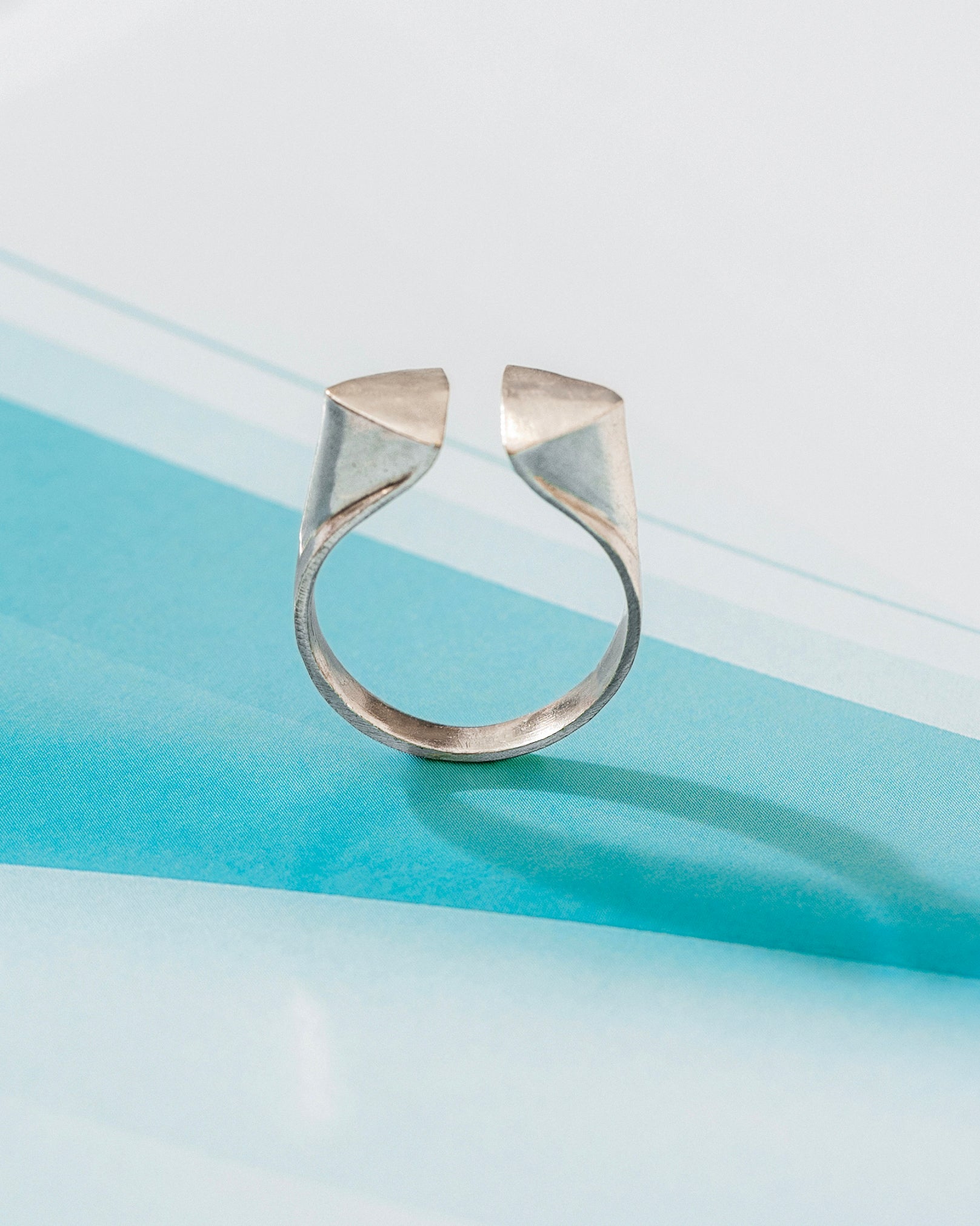 2 BEAKS RING