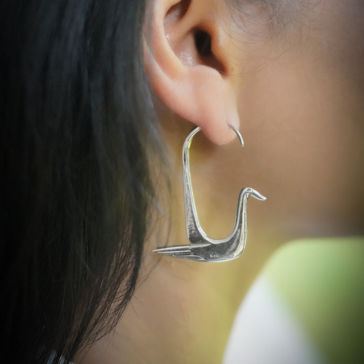 SWAN HOOPS
